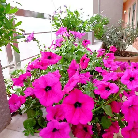 公寓 Galeria 地拉那