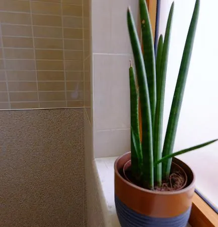 公寓 Galeria 地拉那