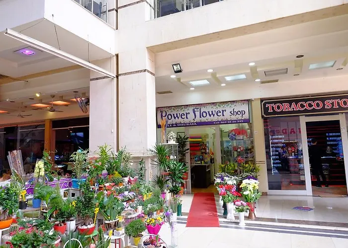 Galeria * Tirana