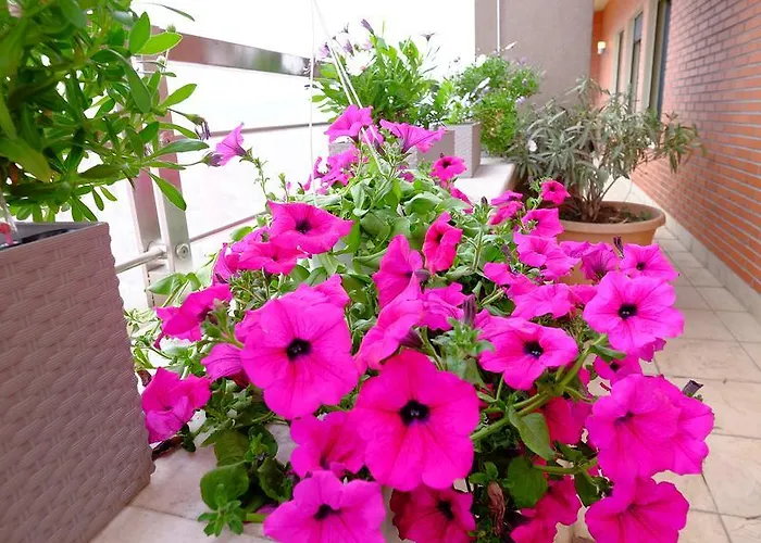 Apartman Galeria Tirana